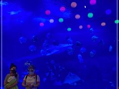 -烟台海昌鲸鲨海洋公园