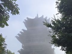 -杭州半山国家森林公园