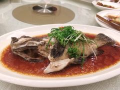 清蒸石斑鱼-金翠皇宫粤菜·点心·海鲜(科技园店)