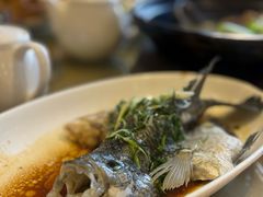 清蒸鲈鱼-鹅公村·国家非遗传承(荔湾店)