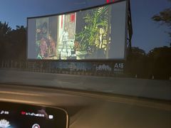 -枫花园汽车电影院(朝阳公园店)