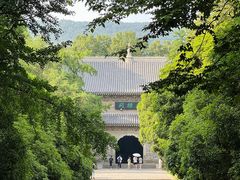 -灵谷景区