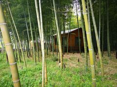-龙寺生态园