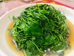 草头-蘭心餐厅(进贤路店)