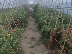 -美家乐农庄·露营·团建(大治路店)