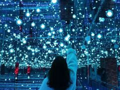 -弘阳·未来世界(弘阳广场店)