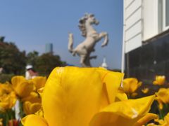 -厦门园林博览苑