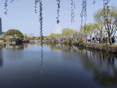 -无锡蠡湖国家湿地公园-蠡园