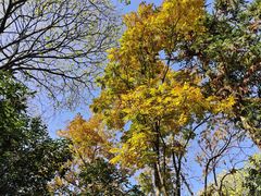 -杭州半山国家森林公园