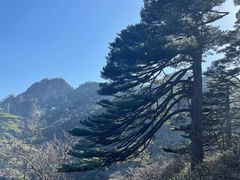 -黄山风景区