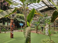 -呀路古热带植物园