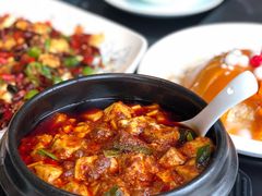 -陈麻婆豆腐总店