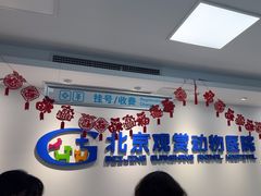 -北京观赏动物医院·24小时大型综合·猫专科·异宠专科