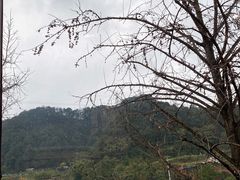 -重庆南山海昌汤都