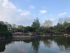 -嘉定紫藤园