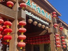 -南宫五洲植物乐园