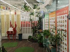 -阿妮亚少儿美术书法(望京店)