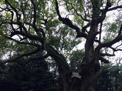 -热田神宫