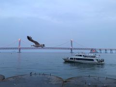 -星海广场