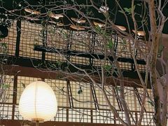 -桂满陇·海市蜃楼·黑金(国金店)