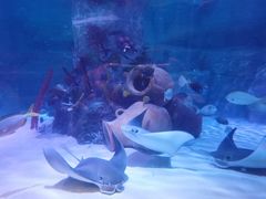 -沈阳海洋探索中心