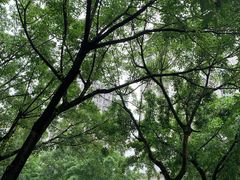 -春涛餐馆(下坝店)