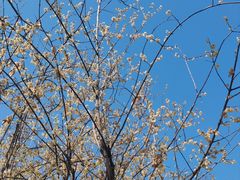 -汉口江滩-五福广场