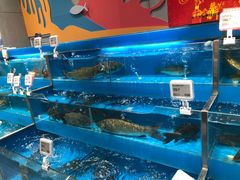 -盒马鲜生(领丰汇店)