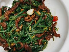 -紫光园(顺义店)