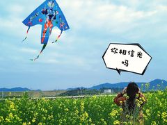 -光明小镇欢乐田园