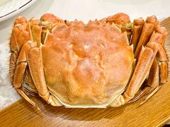 -蟹天蟹地农家菜·阳澄湖大闸蟹(浅水湾店)