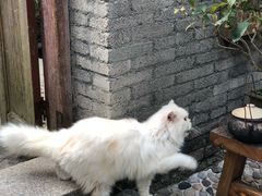 -老屋咖啡