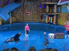 -烟台海昌鲸鲨海洋公园