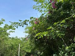 -白鹭湾湿地公园