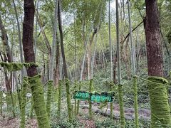 -石燕湖生态旅游景区
