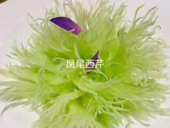 -浦江二号·独栋江景餐厅(滨江大道店)