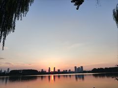 -新洲生态园