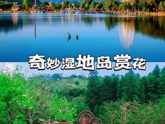 -森波拉奇妙世界
