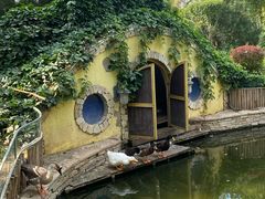 -南宫五洲植物乐园