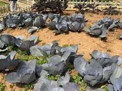 -天河儿童公园