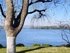 -浙江西子宾馆·瑶园咖啡厅