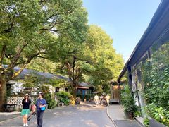 -凤凰御元艺术基地