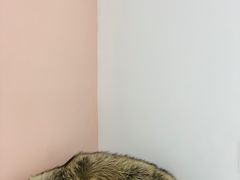 -浣熊柯尔鸭土拨鼠·电玩咖