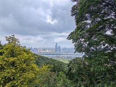 -岳麓山风景名胜区