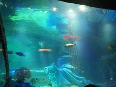 -沈阳海洋探索中心