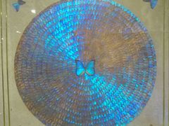 -上海昆虫博物馆