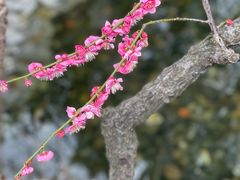 -静安雕塑公园