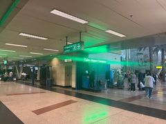 -开罗国际机场