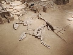 -洛阳周王城天子驾六博物馆