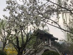 -团结湖公园